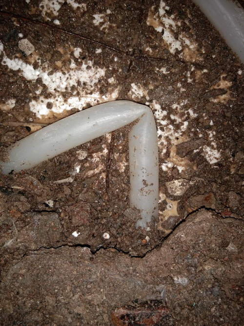 牟定堵点精准查找